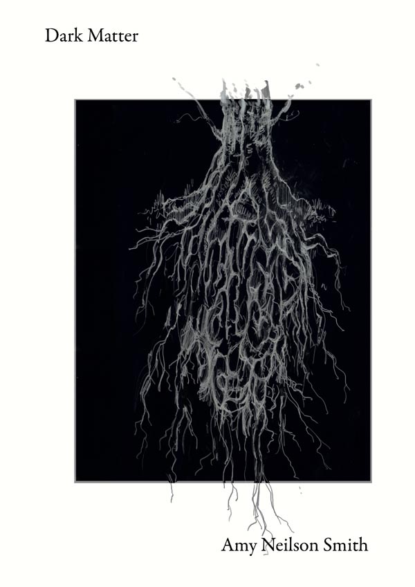 Dark Mater poetry book